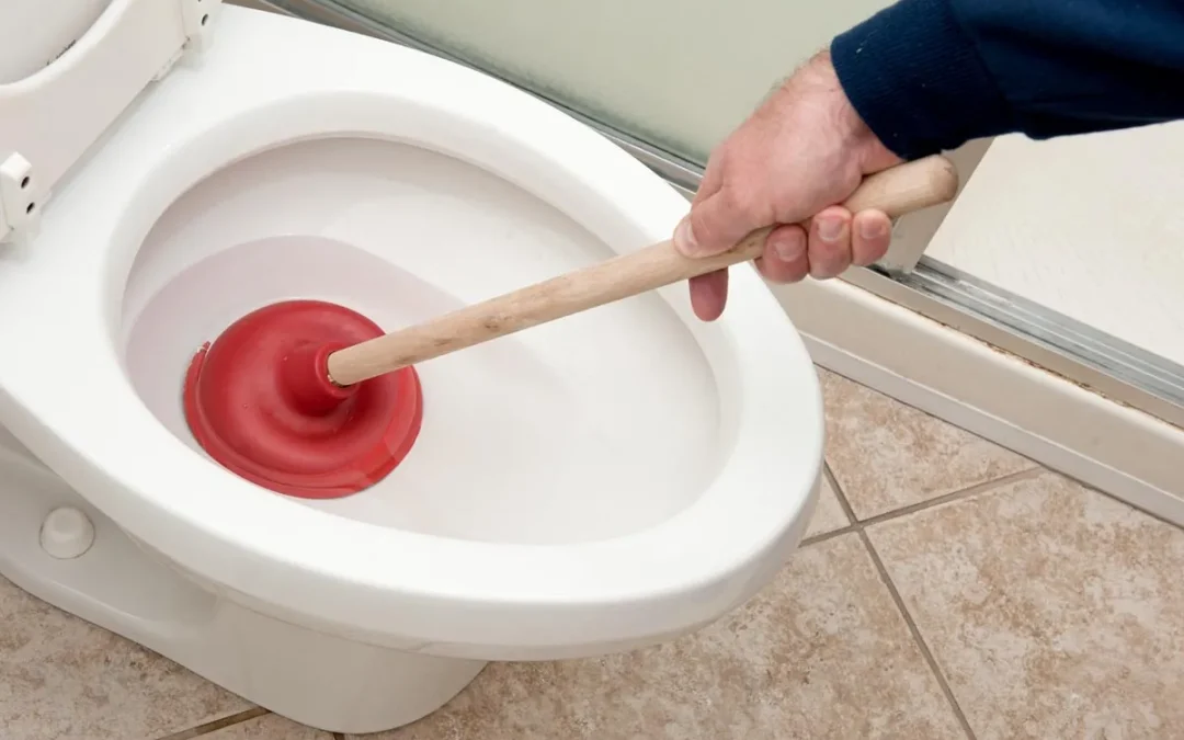 How to unblock a toilet