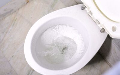 Toilet Draining Slowly? Here’s How To Fix It