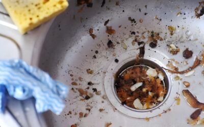 12 Things To NEVER Put Down Your Kitchen Sink